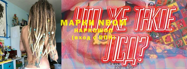 индика Пестово
